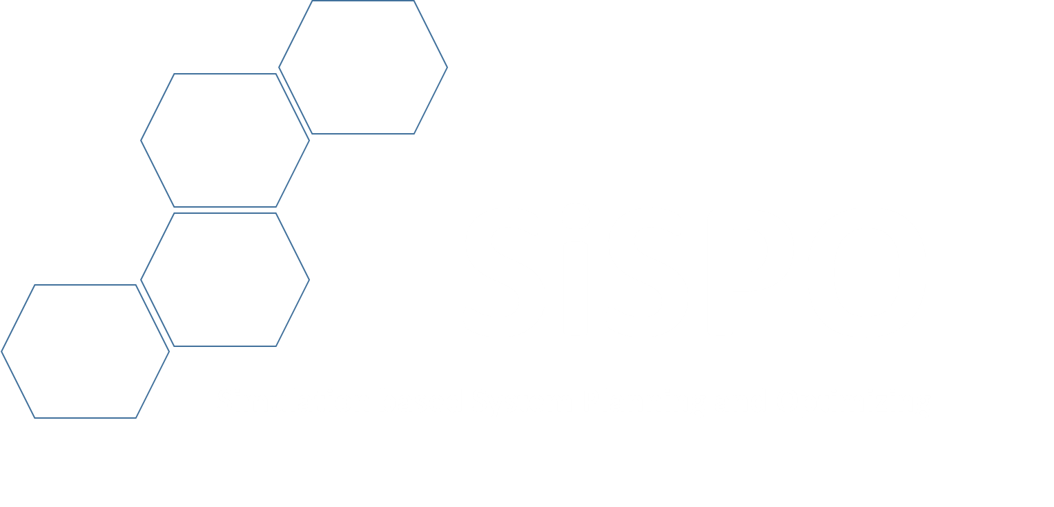 LPP-Core Simulation